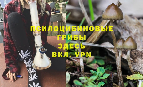 спайс Алагир