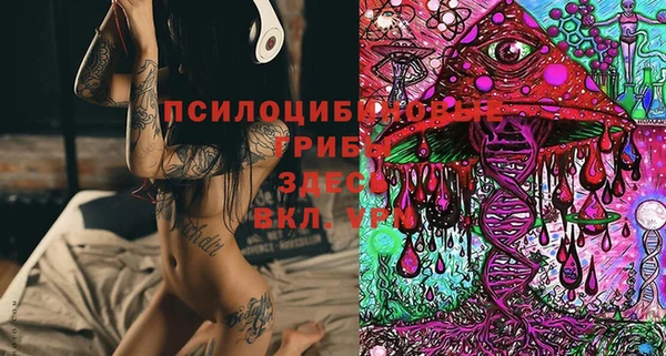 спайс Алагир