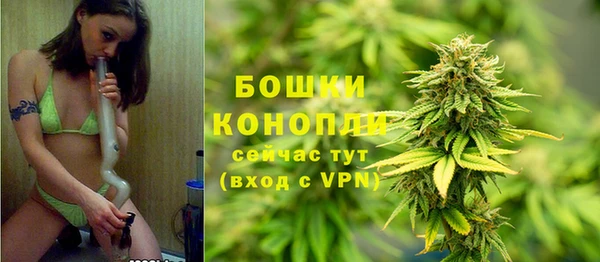 спайс Алагир