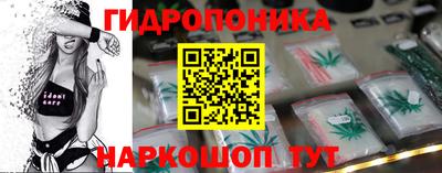шишки Гусиноозёрск