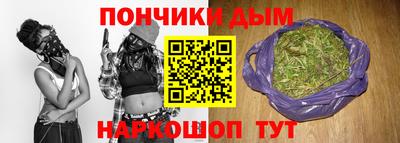 шишки Гусиноозёрск