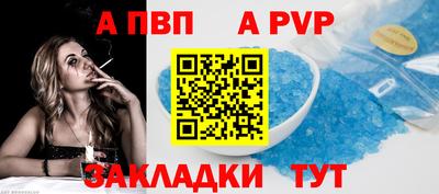 стафф Донской